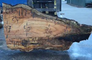 030119-04 Big Leaf Maple Slab