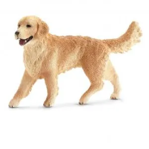 Golden Retriever, Female 16395