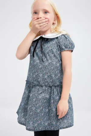 Xana Drop Waist Dress